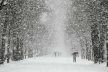 Снігопад накриватиме Україну кожен день і будуть морози: синоптики попереджають українців