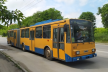У Тернополі тимчасово змінять рух тролейбусів