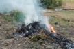 Жителів Тернопільської громади штрафують за спалення сухої рослинності