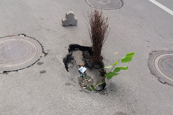 У центрі Тернополя знову провалилася дорога (Фотофакт)