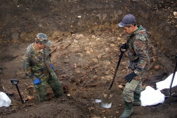  Поблизу Чорткова розкопали останки розстріляних нацистами патріотів (Фото)