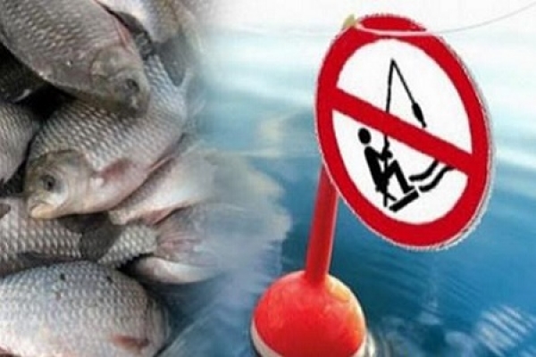 З 1 листопада на Тернопільщині заборонять вилов риби