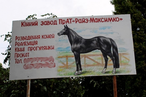 Коні не винні. Що буде з найпопулярнішим кінним заводом на Тернопільщині?