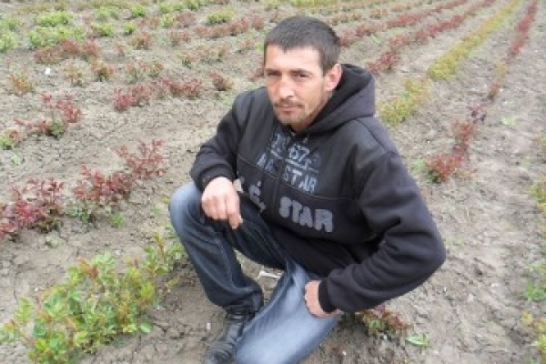 Аграрна Тернопільщина: Міцне коріння молодого саду Івана Бойка