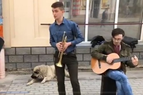 Тернопільські вуличні музики підкорили Золочів (Відео)
