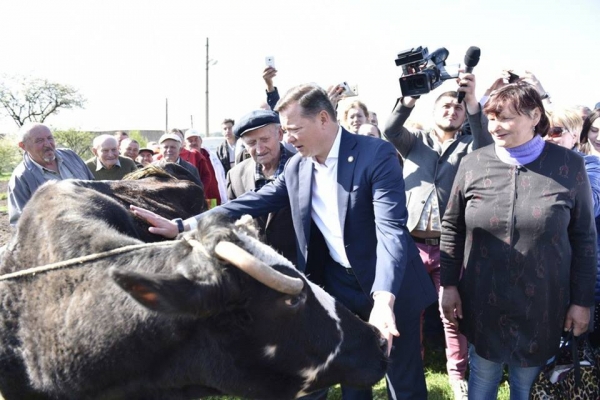 Олег Ляшко: корів треба не продавати, а розводити