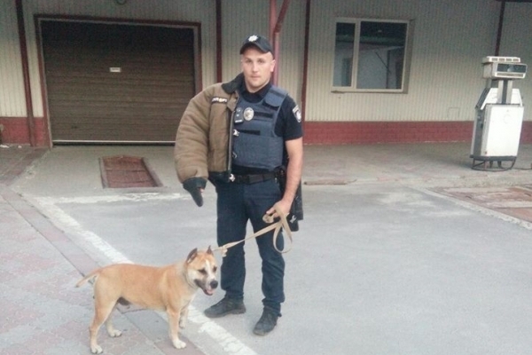 Тернопільські патрульні розшукують господаря агресивної собаки