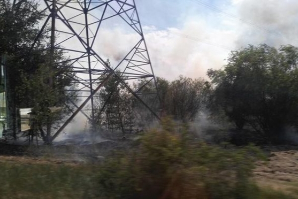 У Чорнобильській зоні виникла нова пожежа 