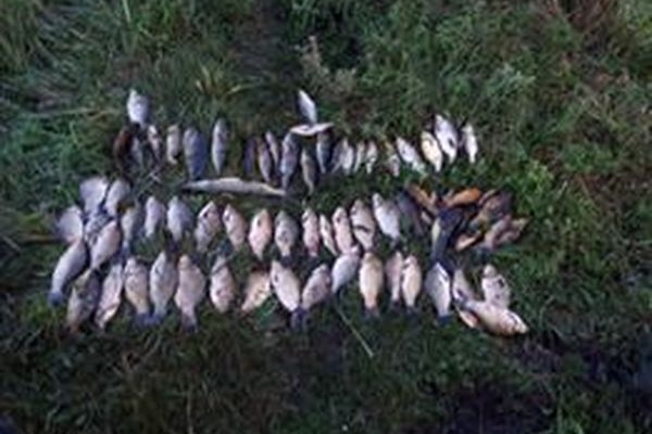 Тернопільський рибоохоронний патруль «на гарячому» впіймав браконьєрів (Фото)