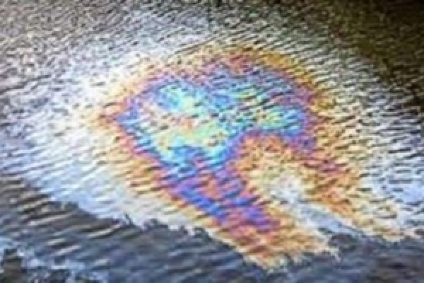 Пляма від нафтопродуктів на Тернопільському ставі збільшується (Відео)