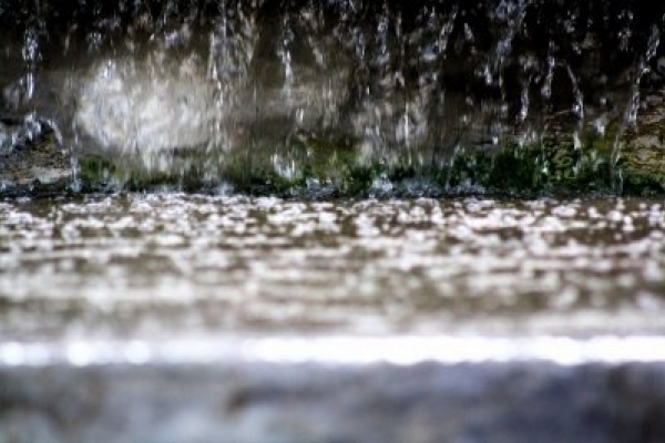 На Тернопільщині прогнозують дощі та зливи