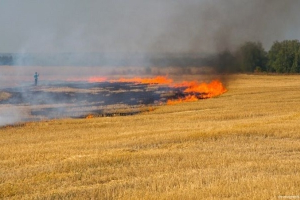 Тернопільщина у диму. Горять пожнивні залишки