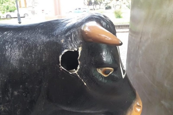 У центрі Тернополя бику відірвали вухо (Фото)