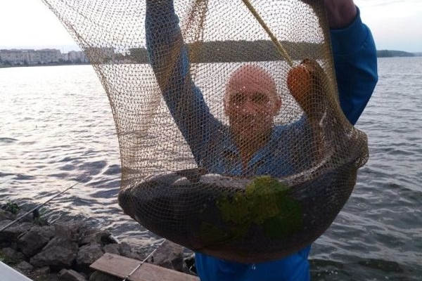 На Тернопільському ставі рибалки зловили дві велетенські риби (Фото)