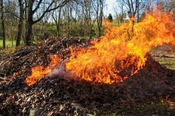 Спалювання листя та бадилля – загрожує здоров’ю людей