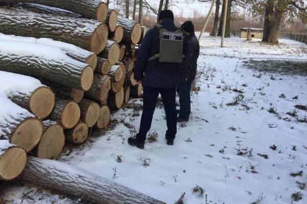 Двоє мешканців Тернопільщини вкрали деревину в заказнику