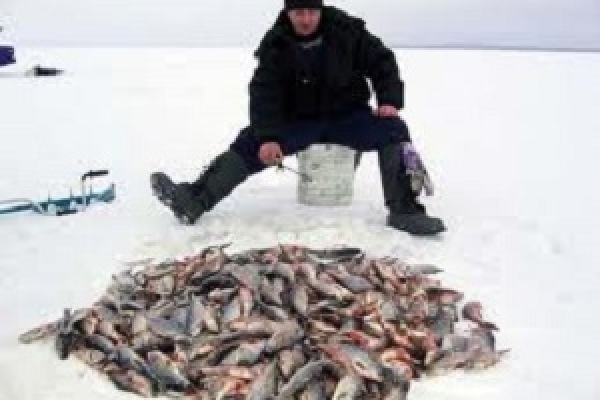 На тернопільському ставі пройде кубок України з риболовного спорту