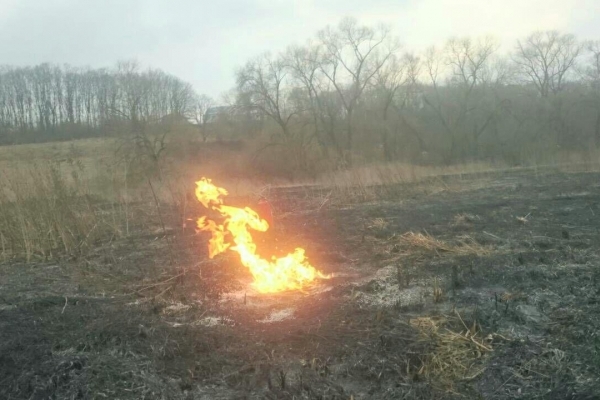 Спалювання сухої трави ледь не призвело до трагедії