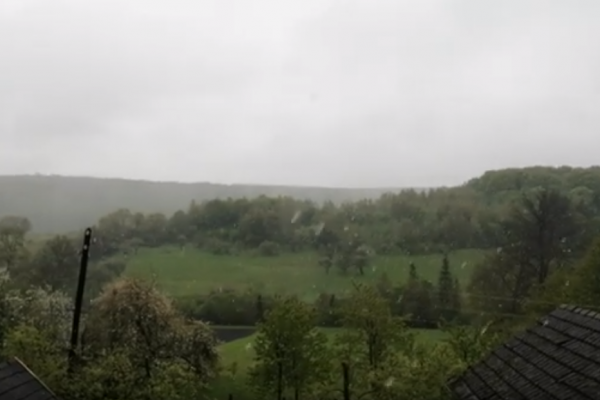 Повернулася зима? На Тернопільщині – мокрий сніг (Відео)