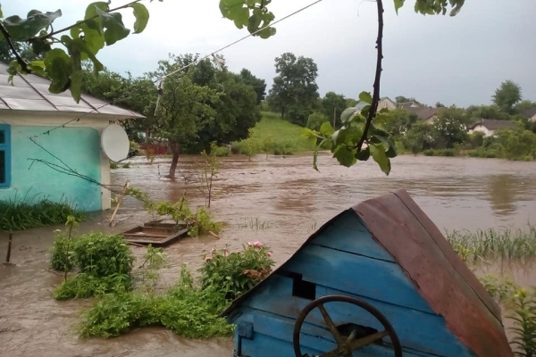 Залило будинок, все подвір’я у воді, – на Тернопільщині затопило матір трьох дітей