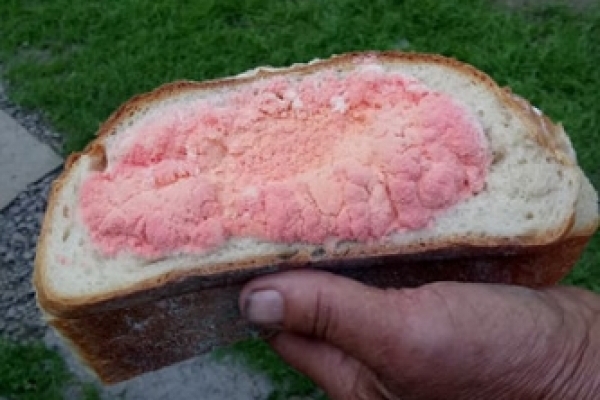 У Тернополі придбаний хліб покрився невідомою рожевою речовиною
