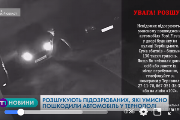 Поліція оголосила в розшук невідомих, що пошкодили авто в Тернополі (Відео)