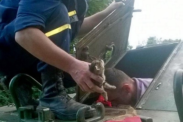 Рятувальники допомогли вибратися з пастки кошеняткові