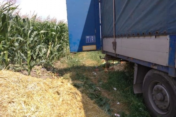 Водій фури викинув гнилі кавуни у посадку поблизу Тернополя