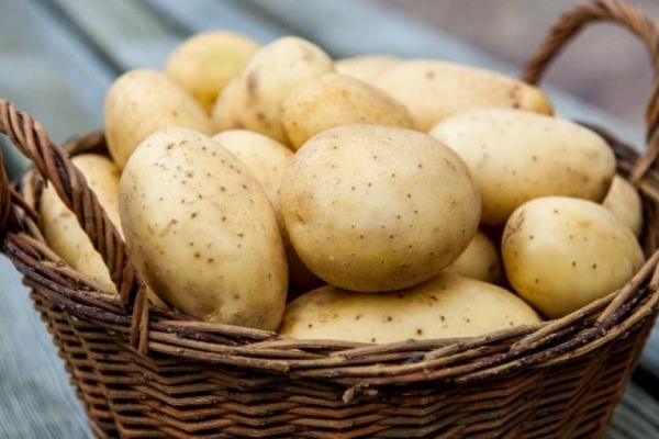 Вартість картоплі зросла до 16,6 грн за кг
