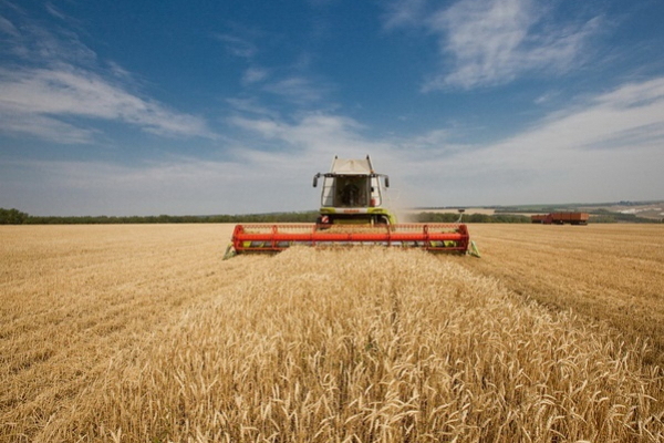 Тернопільські фермери можуть збирати на 15-25% більші врожаї 