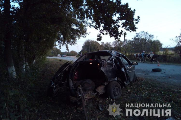 Через алкоголь помер один із пасажирів: на Тернопільщині ДТП