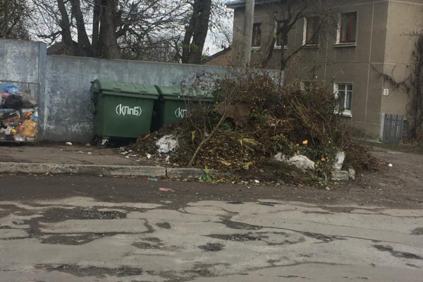 У Ланівцях більше місяця комунальники не вивозять сміття