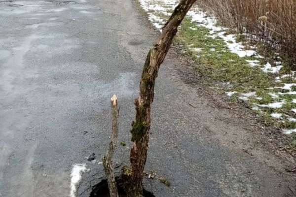 На Тернопільщині посеред дороги утворилося провалля