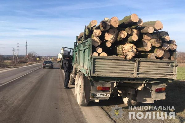 У Кременецькому районі поліцейські зупинили автомобіль з деревиною, вирубаною незаконно