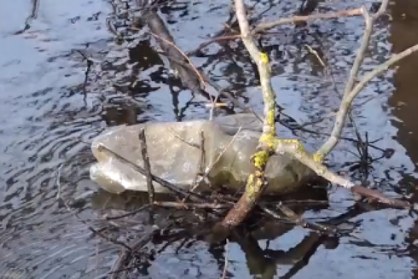 Екологічна катастрофа на Чортківщині: річку Джурин перетворили на смітник (Відео)
