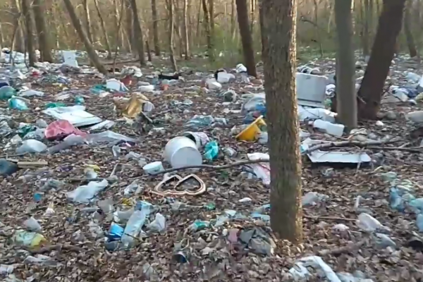 Ліс на Тернопільщині перетворили на масове сміттєзвалище (Відео)