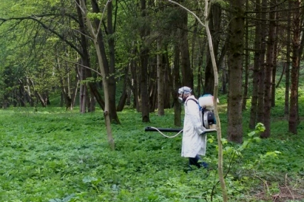 «Просять не гуляти парками»: у Тернополя знищують кліщі