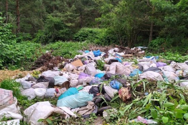 На Тернопільщині люди перетворили ліс у сміттєзвалище (Фото)