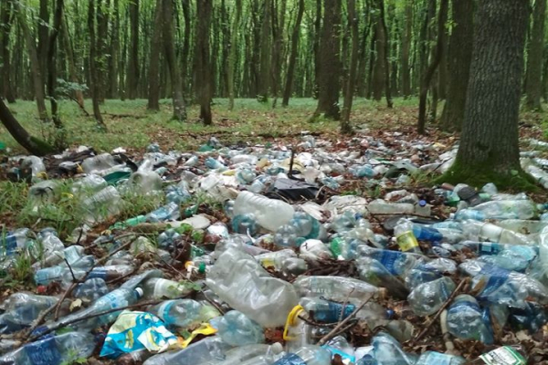 Ліс на Бережанщині потопає у смітті