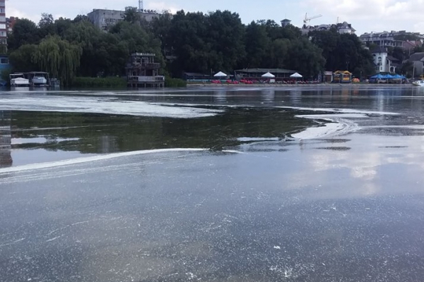 Плесо Тернопільського ставу у безвітряний день вкрила біла плівка (Фото)