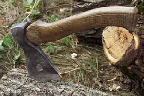 На Тернопільщині під час порубки дерев загинув 64-річний чоловік