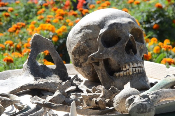 На Тернопільщині археологи знайшли скелети священника, жінки й дитини 