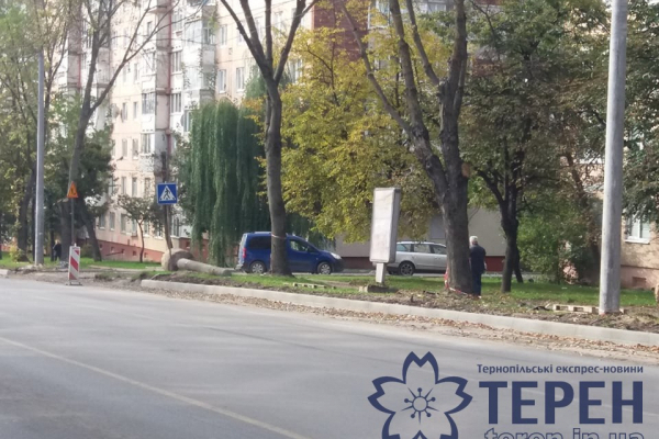 На Тарнавського у Тернополі буде додаткова дорожня смуга