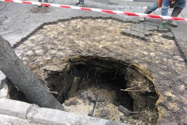 У центрі Тернополя дерево провалилося під асфальт