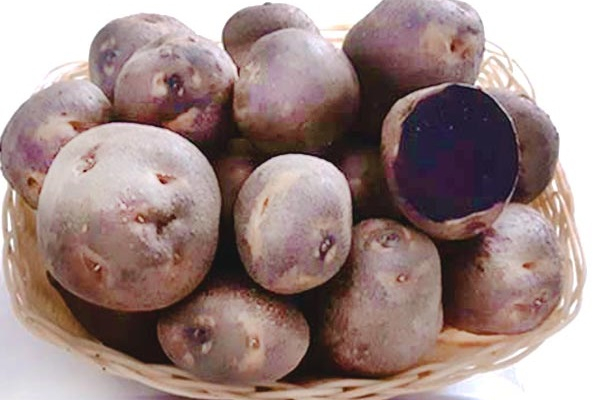 В Україні вивели картоплю з фіолетовим та червоним м’якушем