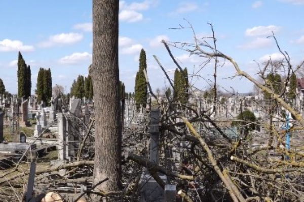 Скандал на кладовищі: хто прибиратиме наслідки обрізання дерев (Відео)
