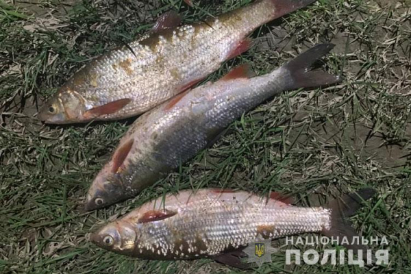 На Тернопільщині чоловік вловлював рибу, яка віднесена до Червоної книги України
