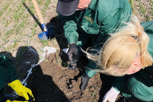 На Тернопільщині досліджують ґрунт на наявність шкідників