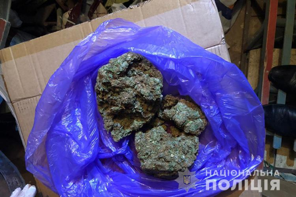 Розповсюджували наркотичні речовини: 19-річний житель Тернопільщини організував незаконний бізнес