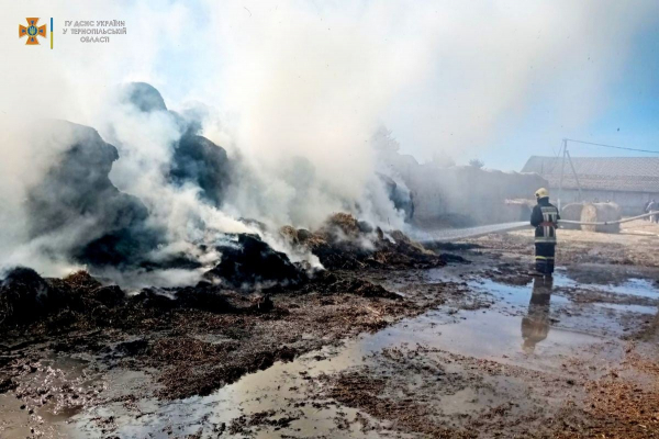 На Тернопільщині згоріли 30 тюків соломи